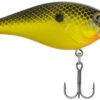 Berkley SquareBull 2 3/4 Inch Shallow Squarebill Crankbait 1 Berkley SquareBull 2 3/4 Inch Shallow Squarebill Crankbait -Fishing Promotion Store 40319508119641