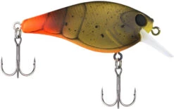 Berkley SquareBull 2 3/4 Inch Shallow Squarebill Crankbait 11 Berkley SquareBull 2 3/4 Inch Shallow Squarebill Crankbait -Fishing Promotion Store 40319508185177