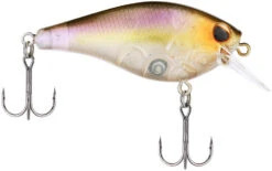Berkley SquareBull 2 3/4 Inch Shallow Squarebill Crankbait 12 Berkley SquareBull 2 3/4 Inch Shallow Squarebill Crankbait -Fishing Promotion Store 40319508217945