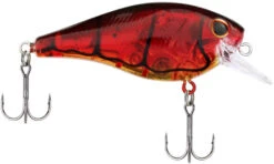 Berkley SquareBull 2 3/4 Inch Shallow Squarebill Crankbait 13 Berkley SquareBull 2 3/4 Inch Shallow Squarebill Crankbait -Fishing Promotion Store 40319508250713