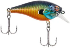 Berkley SquareBull 2 3/4 Inch Shallow Squarebill Crankbait 14 Berkley SquareBull 2 3/4 Inch Shallow Squarebill Crankbait -Fishing Promotion Store 40319508283481