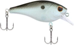 Berkley SquareBull 2 3/4 Inch Shallow Squarebill Crankbait 15 Berkley SquareBull 2 3/4 Inch Shallow Squarebill Crankbait -Fishing Promotion Store 40319508316249