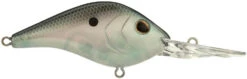 Berkley Dredger Deep Diving Crankbait 41 Berkley Dredger Deep Diving Crankbait -Fishing Promotion Store 40324994433113
