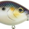 Berkley Dredger Deep Diving Crankbait Deeper Diving Models 1 Berkley Dredger Deep Diving Crankbait Deeper Diving Models -Fishing Promotion Store 40325003018329