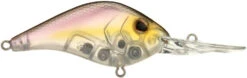 Berkley Dredger Deep Diving Crankbait Deeper Diving Models 38 Berkley Dredger Deep Diving Crankbait Deeper Diving Models -Fishing Promotion Store 40325003214937