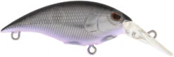 Berkley Money Badger Trolling Plug / Crankbait 24 Berkley Money Badger Trolling Plug / Crankbait -Fishing Promotion Store 40326907199577