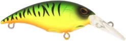 Berkley Money Badger Trolling Plug / Crankbait 32 Berkley Money Badger Trolling Plug / Crankbait -Fishing Promotion Store 40326907396185