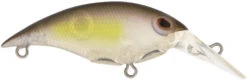 Berkley Money Badger Trolling Plug / Crankbait 39 Berkley Money Badger Trolling Plug / Crankbait -Fishing Promotion Store 40326907625561