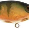 Berkley Money Badger Trolling Plug / Crankbait 2 Berkley Money Badger Trolling Plug / Crankbait -Fishing Promotion Store 40326907953241