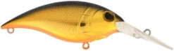 Berkley Money Badger Deep Diving Trolling Plug / Crankbait 24 Berkley Money Badger Deep Diving Trolling Plug / Crankbait -Fishing Promotion Store 40326922502233