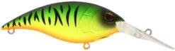 Berkley Money Badger Deep Diving Trolling Plug / Crankbait 34 Berkley Money Badger Deep Diving Trolling Plug / Crankbait -Fishing Promotion Store 40326922862681