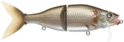 River2Sea Tactical Wake 210 8 Inch Topwater Wakebait 12 River2Sea Tactical Wake 210 8 Inch Topwater Wakebait -Fishing Promotion Store 40329300574297