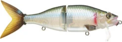 River2Sea Tactical Wake 210 8 Inch Topwater Wakebait 13 River2Sea Tactical Wake 210 8 Inch Topwater Wakebait -Fishing Promotion Store 40329300607065