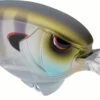 SPRO Outsider MR 60 Crankbait 1 SPRO Outsider MR 60 Crankbait -Fishing Promotion Store 40342466330713