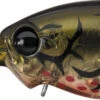 Evergreen International WH-8 Deep Diving Crankbait 2 Evergreen International WH-8 Deep Diving Crankbait -Fishing Promotion Store 40377997328473