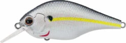 Evergreen International ZR-4 Zeruch Crankbait 16 Evergreen International ZR-4 Zeruch Crankbait -Fishing Promotion Store 40378005454937
