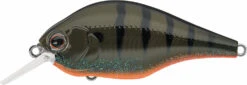 Evergreen International ZR-4 Zeruch Crankbait 17 Evergreen International ZR-4 Zeruch Crankbait -Fishing Promotion Store 40378005487705