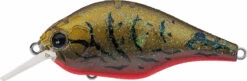 Evergreen International ZR-4 Zeruch Crankbait 20 Evergreen International ZR-4 Zeruch Crankbait -Fishing Promotion Store 40378005586009