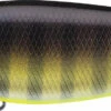 Evergreen International XV-5 X-Over Hybrid Jerk Crankbait 1 Evergreen International XV-5 X-Over Hybrid Jerk Crankbait -Fishing Promotion Store 40378014924889