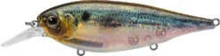 Evergreen International XV-5 X-Over Hybrid Jerk Crankbait 10 Evergreen International XV-5 X-Over Hybrid Jerk Crankbait -Fishing Promotion Store 40378015023193