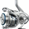 Daiwa Procyon MQ LT Spinning Reel 2 Daiwa Procyon MQ LT Spinning Reel -Fishing Promotion Store 40386437709913