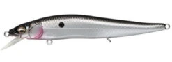 Megabass Ito Vision 110 FX Jerkbait 26 Megabass Ito Vision 110 FX Jerkbait -Fishing Promotion Store 8301543751735