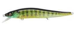 Megabass Ito Vision 110 FX Jerkbait 28 Megabass Ito Vision 110 FX Jerkbait -Fishing Promotion Store 8301543817271 72d87341 c147 4661 bf39 d14cbf68b7c7
