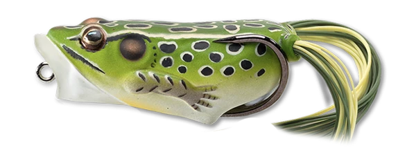 LIVETARGET Popper Frog Hollow Body Topwater Frog 17 LIVETARGET Popper Frog Hollow Body Topwater Frog - Image 15