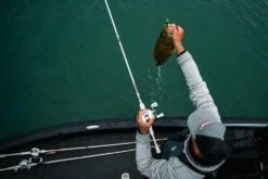 Abu Garcia Veritas Winch Baitcasting Rod 20 Abu Garcia Veritas Winch Baitcasting Rod -Fishing Promotion Store ABU CASTING ROD VERITAS PLX WINCH LIFESTYLE 2021 005