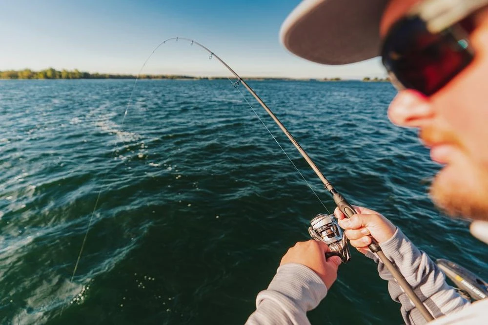 Abu Garcia Zenon Spinning Rod 16 Abu Garcia Zenon Spinning Rod - Image 14