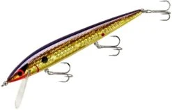 Smithwick Elite 8 Rogue 4 1/2 Inch Suspending Jerkbait 17 Smithwick Elite 8 Rogue 4 1/2 Inch Suspending Jerkbait -Fishing Promotion Store ADR4213