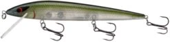 Smithwick Elite 8 Rogue 4 1/2 Inch Suspending Jerkbait 15 Smithwick Elite 8 Rogue 4 1/2 Inch Suspending Jerkbait -Fishing Promotion Store ADR4281