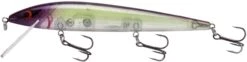 Smithwick Elite 8 Rogue 4 1/2 Inch Suspending Jerkbait 16 Smithwick Elite 8 Rogue 4 1/2 Inch Suspending Jerkbait -Fishing Promotion Store ADR4282