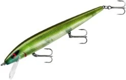 Smithwick Perfect 10 Rogue 5 1/2 Inch Deep Diving Suspending Jerkbait 26 Smithwick Perfect 10 Rogue 5 1/2 Inch Deep Diving Suspending Jerkbait -Fishing Promotion Store ADR5281