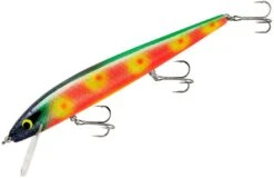 Smithwick Perfect 10 Rogue 5 1/2 Inch Deep Diving Suspending Jerkbait 38 Smithwick Perfect 10 Rogue 5 1/2 Inch Deep Diving Suspending Jerkbait -Fishing Promotion Store ADR5296