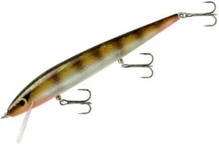 Smithwick Perfect 10 Rogue 5 1/2 Inch Deep Diving Suspending Jerkbait 32 Smithwick Perfect 10 Rogue 5 1/2 Inch Deep Diving Suspending Jerkbait -Fishing Promotion Store ADR5303
