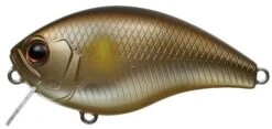 Evergreen International CH-1 Waking Crankbait 25 Evergreen International CH-1 Waking Crankbait -Fishing Promotion Store Ayu a3f83c93 32e2 44fc 9ac7 d61fadd3fe89