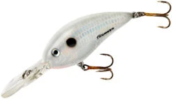 Bomber Fat Free Shad Fingerling 2 3/8 Inch Medium Diving Crankbait 21 Bomber Fat Free Shad Fingerling 2 3/8 Inch Medium Diving Crankbait -Fishing Promotion Store BD5FDPW 5ef3ebae bb65 49d5 85d4 9fba2853d3c2