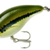 Bandit 100 Series Shallow Diving Crankbait 1 Bandit 100 Series Shallow Diving Crankbait -Fishing Promotion Store BDT101