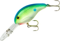Bandit 300 Series Deep Diving Crankbait 36 Bandit 300 Series Deep Diving Crankbait -Fishing Promotion Store BDT3D01