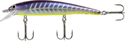 Bandit B-Rotan 4 5/8 Inch Jerkbait/Trolling Plug 20 Bandit B-Rotan 4 5/8 Inch Jerkbait/Trolling Plug -Fishing Promotion Store BDTBRTNB73