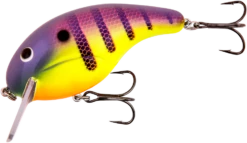 Bandit Rackit 2 3/4 Inch Squarebill Crankbait 24 Bandit Rackit 2 3/4 Inch Squarebill Crankbait -Fishing Promotion Store BDTRK3D73