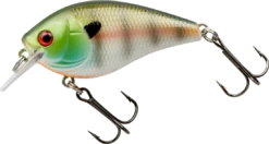 Booyah XCS Series Shallow Squarebill Crankbait 31 Booyah XCS Series Shallow Squarebill Crankbait -Fishing Promotion Store BYXCS195