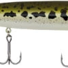 Berkley Justin Lucas J-Walker 100/120 Topwater Walker 1 Berkley Justin Lucas J-Walker 100/120 Topwater Walker -Fishing Promotion Store BerkleyJWalker BabyBass 120mm 1819 alt2 2000