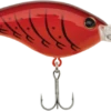 Berkley Frittside Medium Diving Flat Sided Crankbait 1 Berkley Frittside Medium Diving Flat Sided Crankbait -Fishing Promotion Store Berkley Frittside Candy Apple Red Craw 2019 alt2