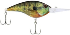 Berkley Frittside Medium Diving Flat Sided Crankbait 31 Berkley Frittside Medium Diving Flat Sided Crankbait -Fishing Promotion Store Berkley Frittside HDBluegill 9 alt2