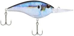 Berkley Frittside Medium Diving Flat Sided Crankbait 34 Berkley Frittside Medium Diving Flat Sided Crankbait -Fishing Promotion Store Berkley Frittside HDThreadfinShad 9 alt2