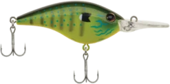 Berkley Frittside Medium Diving Flat Sided Crankbait 40 Berkley Frittside Medium Diving Flat Sided Crankbait -Fishing Promotion Store Berkley Frittside Rubbertail 2019 alt2