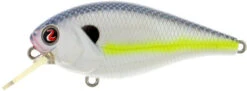River2Sea Biggie Smalls Bumpin' Rattle Fast Squarebill 25 River2Sea Biggie Smalls Bumpin' Rattle Fast Squarebill -Fishing Promotion Store Biggie03IKnowIt 1a46ca54 49eb 4e48 ac4d 23e500e88c7e
