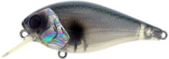 River2Sea Biggie Poppa Bumpin' Rattle Fast Squarebill 20 River2Sea Biggie Poppa Bumpin' Rattle Fast Squarebill -Fishing Promotion Store Biggie05AbaloneShad